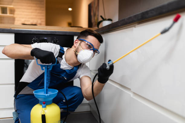 Best Affordable Pest Control Services  in Woodland Park, NE