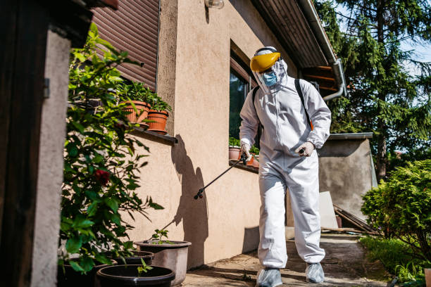 Best Pest Control for Homes  in Woodland Park, NE