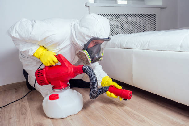 Best Flea Control Services  in Woodland Park, NE
