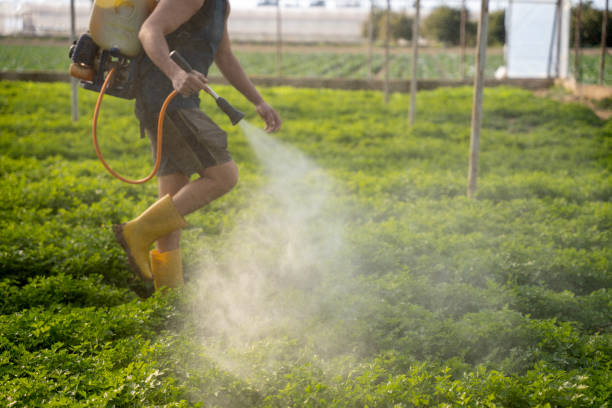 Best Mosquito Control Services  in Woodland Park, NE