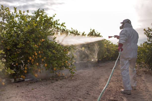 Best Emergency Pest Control  in Woodland Park, NE