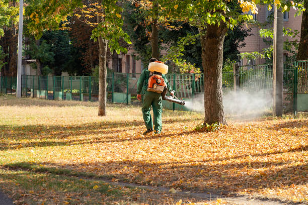 Trusted Woodland Park, NE Pest Control Experts