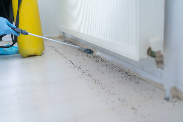 Best Pest Removal Services  in Woodland Park, NE